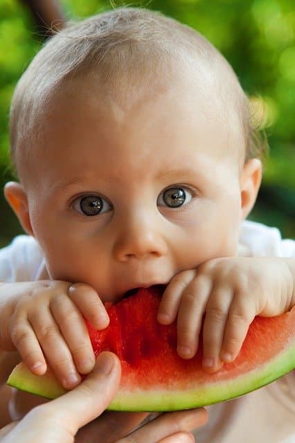NOWOŚĆ!!!   Zasady żywienia zdrowych niemowląt. Stanowisko Polskiego Towarzystwa Gastroenterologii, Hepatologii i Żywienia Dzieci